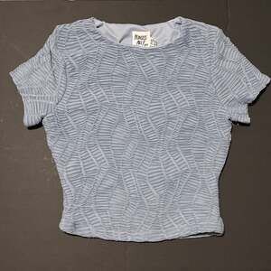 Princess Polly Light Blue Textured Mesh Crop Top, Size 2 (XS)